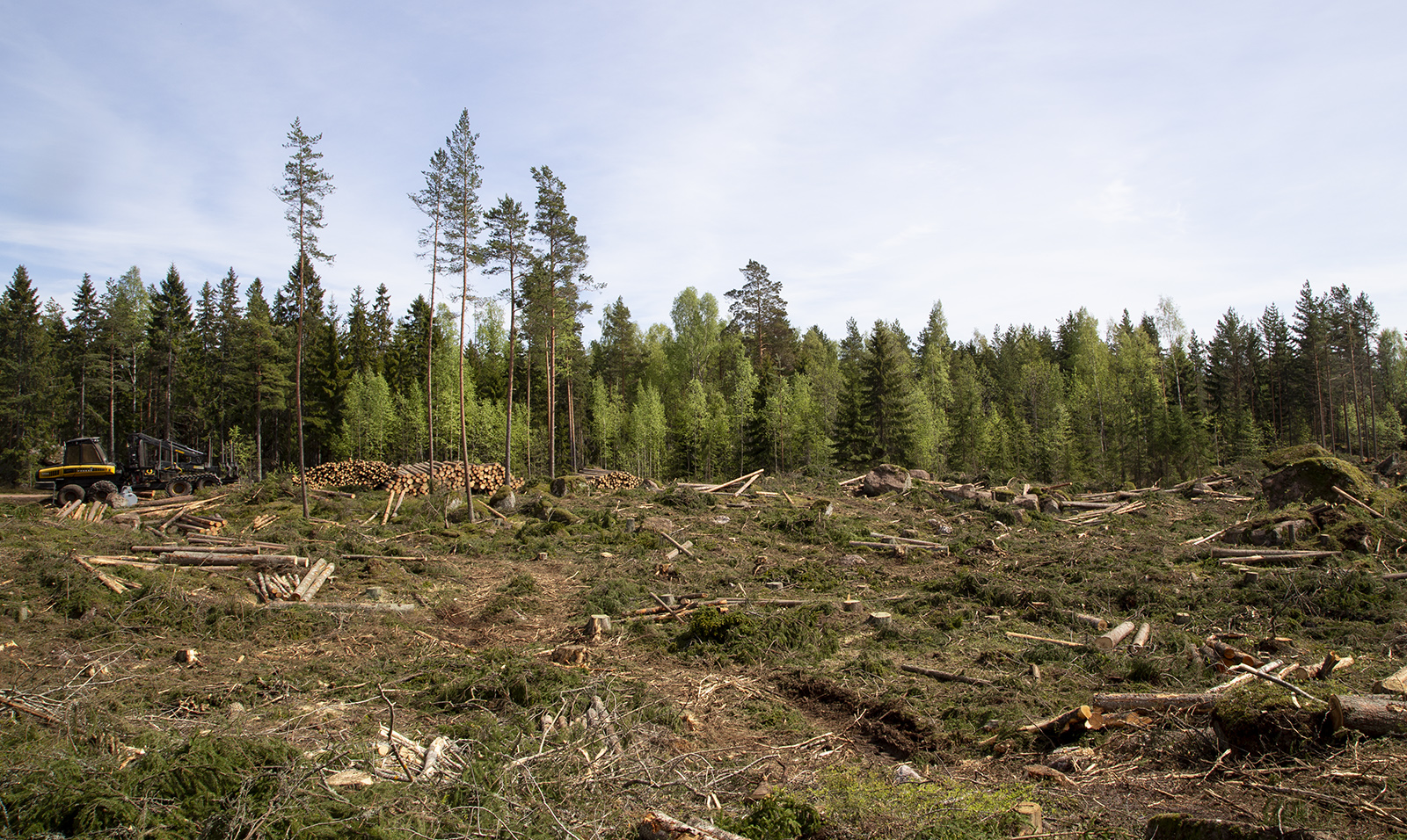 Suomalaiset rakastavat luontoaan – mutta eivät varauksetta