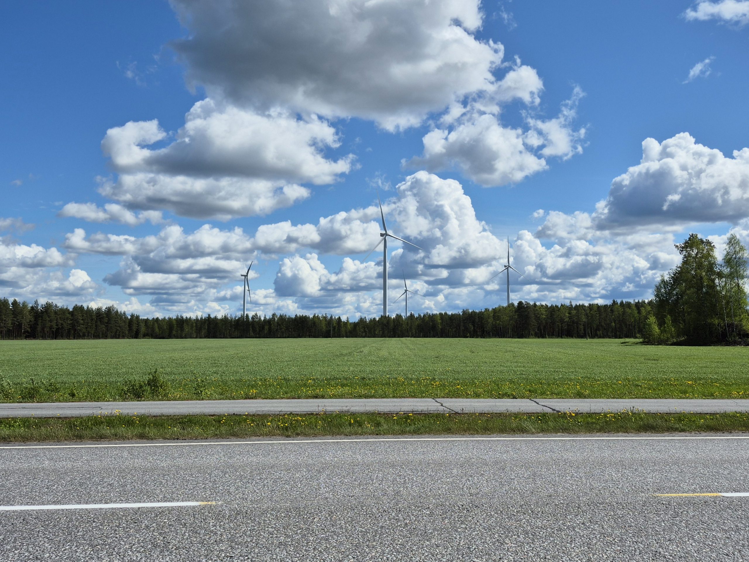 pelto- ja metsämaisema, jonka taustalla on tuulimyllyjä. Tuulimyllyt kuvastavat energiamurrosta. 
