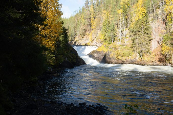 Näkymä Oulangan kansallispuistosta