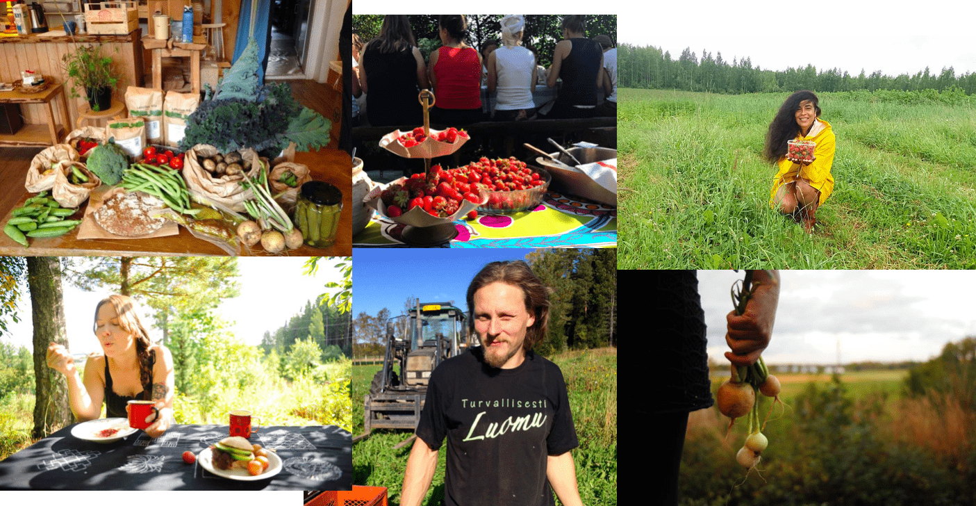 Millaisia ratkaisuja osuuskuntatoiminta voi tuoda ruokajärjestelmän ongelmiin?