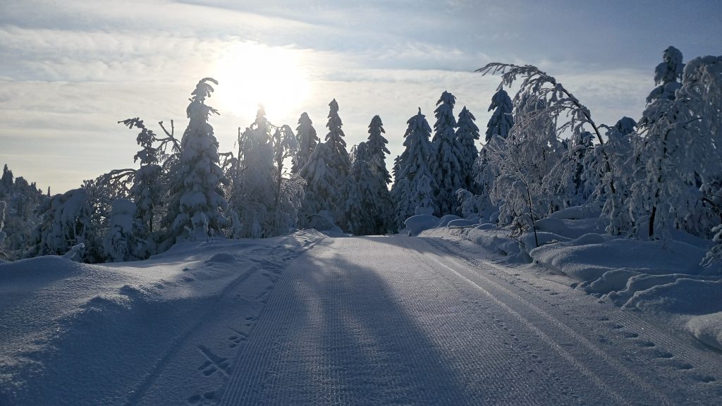 Luminen maisema, jossa tykkylumiset puut, hiihtolatu ja aurinko horisontissa