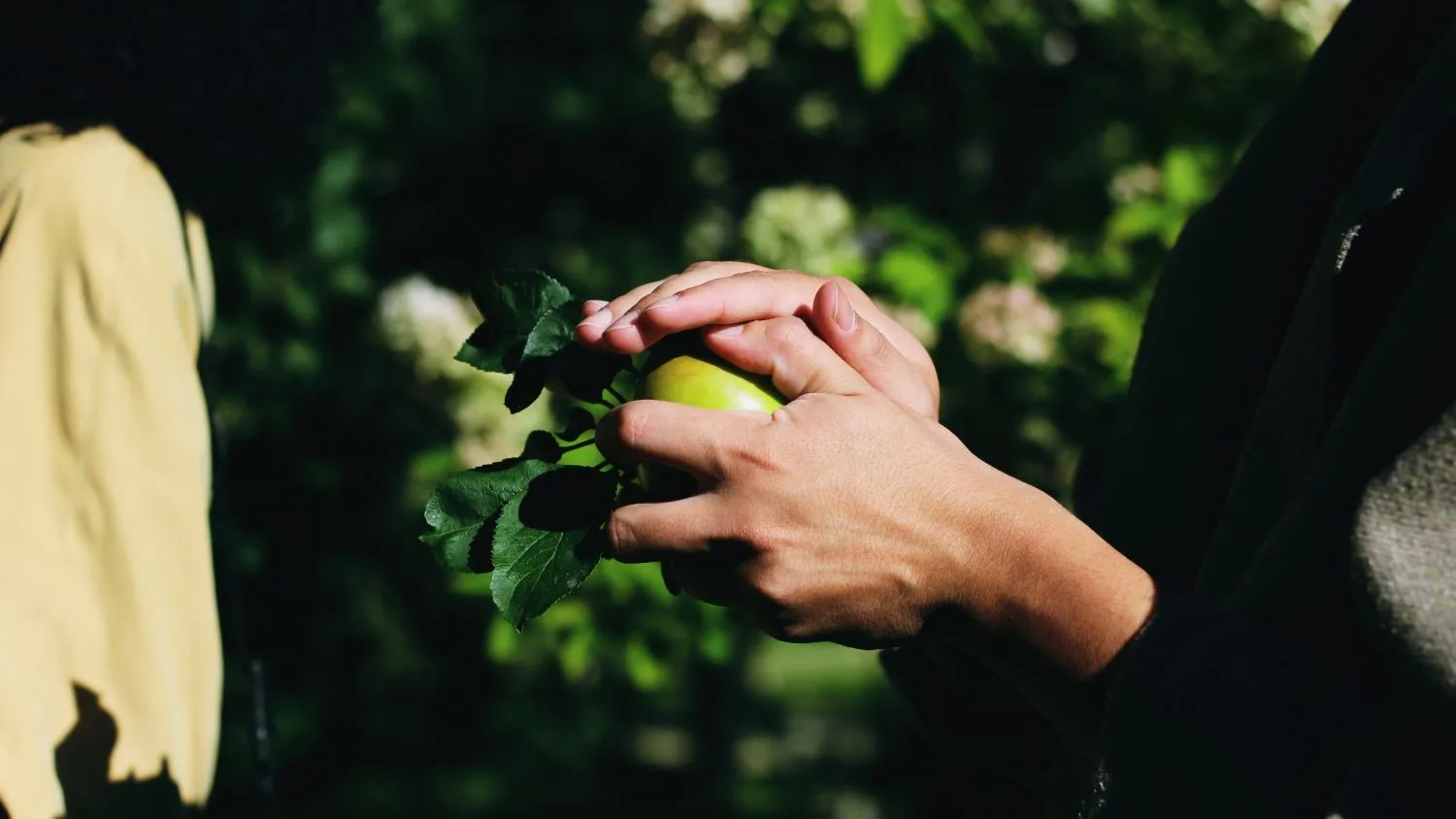 10 theses for an ecosocially just sustainability transformation