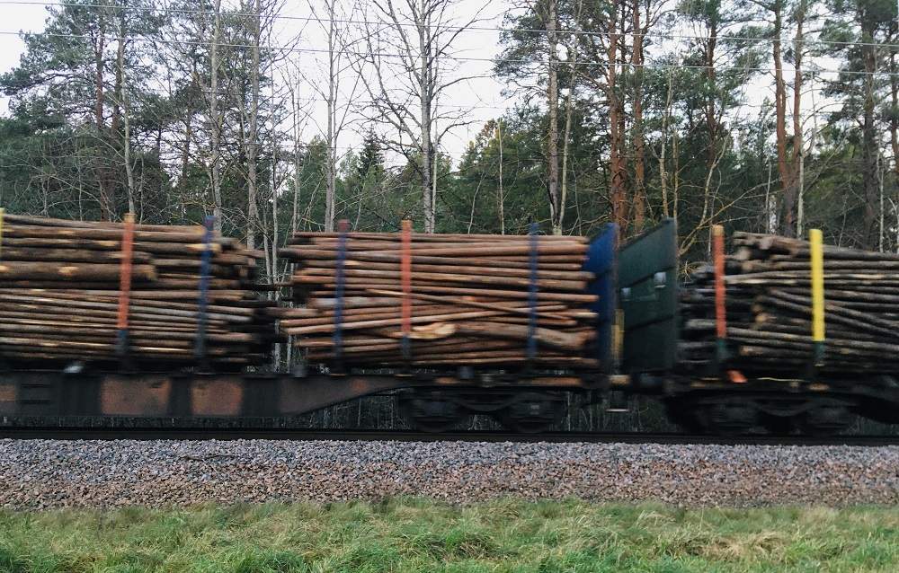 A pile of logs loaded onto a truck representing bioeconomy.