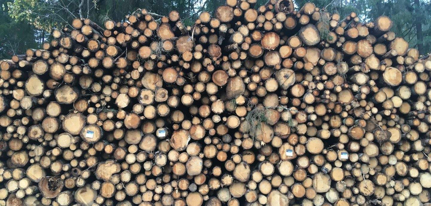 A pile of logwood is representing bioeconomy.