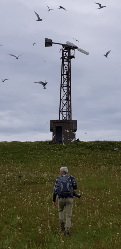 Energy transition can be seen in this picture as there is a windmill in front of a person.