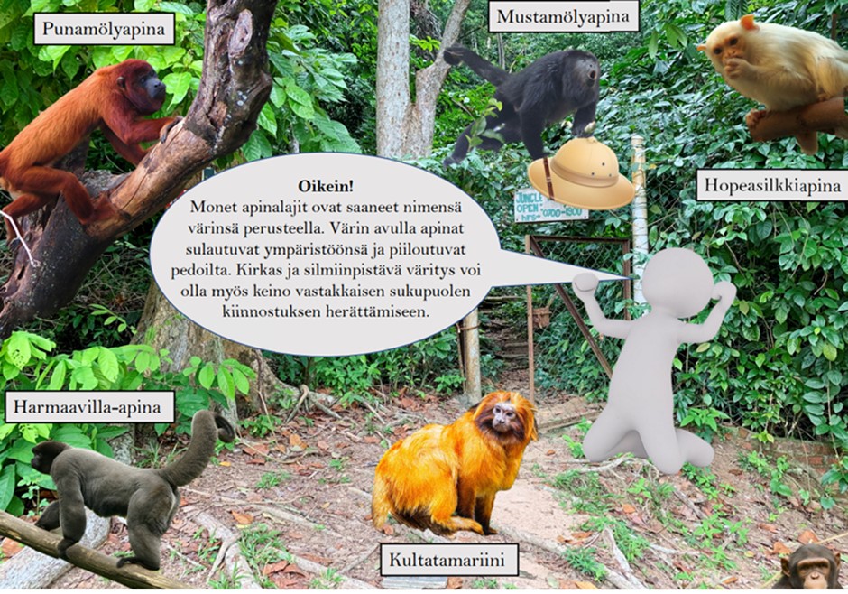 Kuva pelillisiä menetelmiä hyödyntävän pulmapelin vastauksista. Kuvassa on kuusi eri apinalajia metsässä, sekä piirroshahmo ja puhekupla.