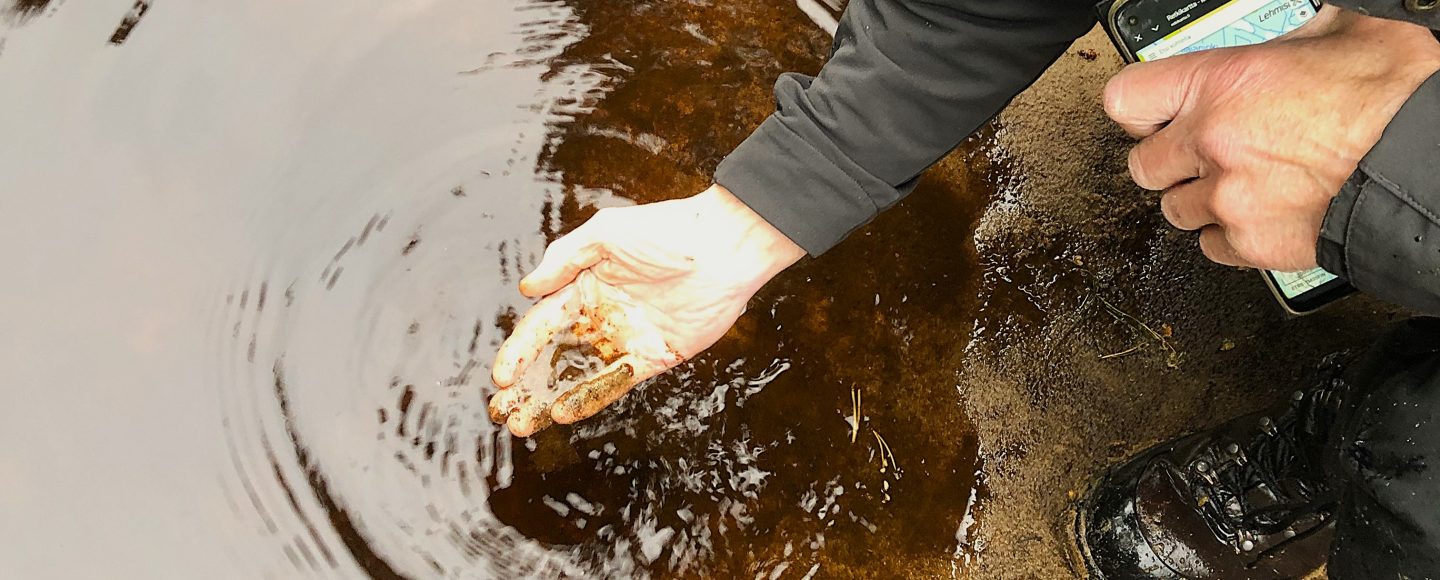 Humuspitoista tummaa vettä joessa, ihminen nostaa vettä kädellä
