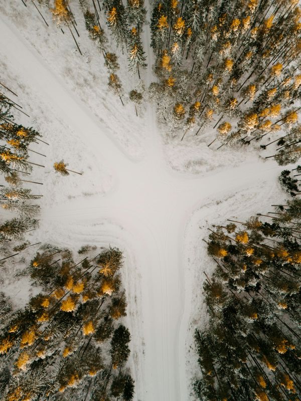 ilmakuva risteyksestä metsässä