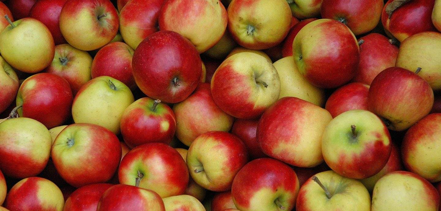 Miten paikallinen ruoka määritellään esimerkiksi kuvassa olevien omenoiden kohdalla?