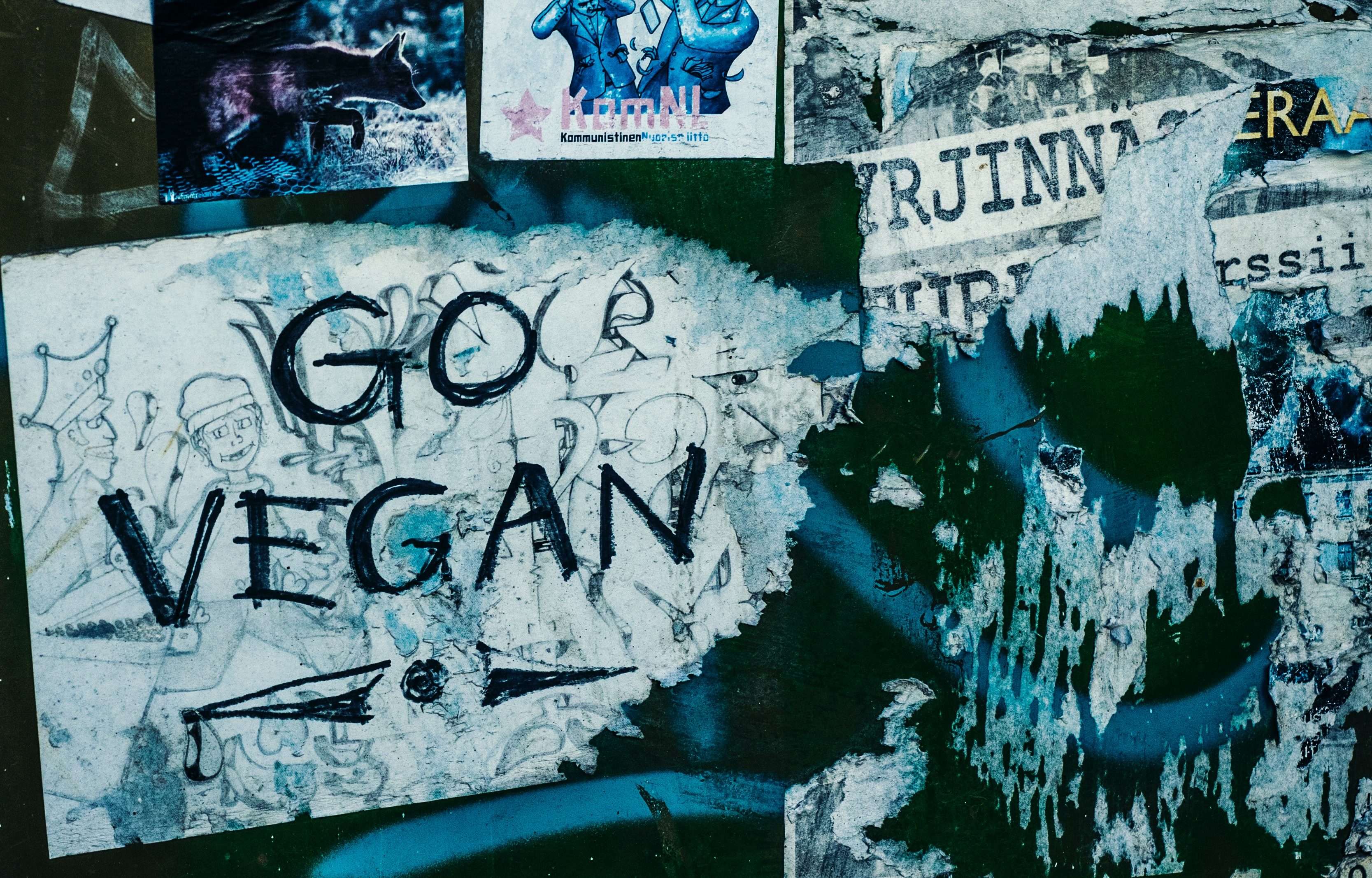 Repaleisia kylttejä, yhdessä kyltissä on näkyvästi teksti "go vegan".