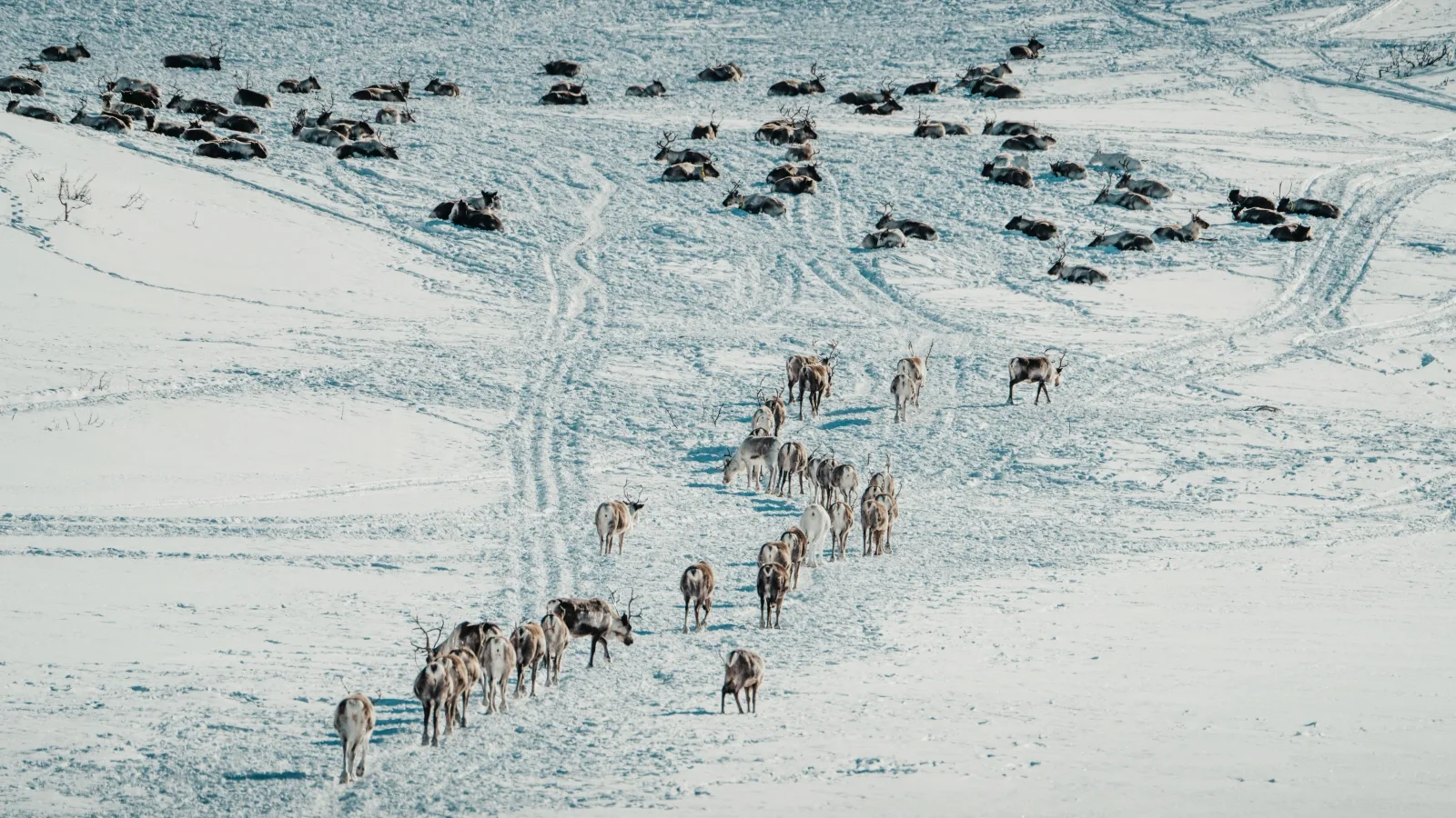 Sustainable environmental decision-making calls for diverse forms of knowledge