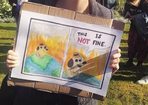 A picture of a protester's hands holding a sign based on the climate-themed meme of the "This is fine" dog in a burning house meme. In the sign, the dog is instead saying "This is NOT fine."